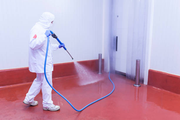 Best Warehouse Cleaning  in Lufkin, TX